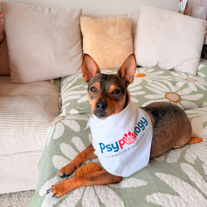 Pet Bandanas